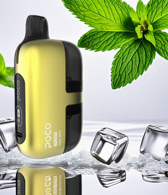Poco TP 20000 – Cool Mint 2%